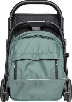 Koelstra Compact Buggy Gen - Dark Forest Green -Kinderwagen Verkoop 857x1200